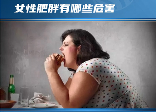肥胖对女性的危害
